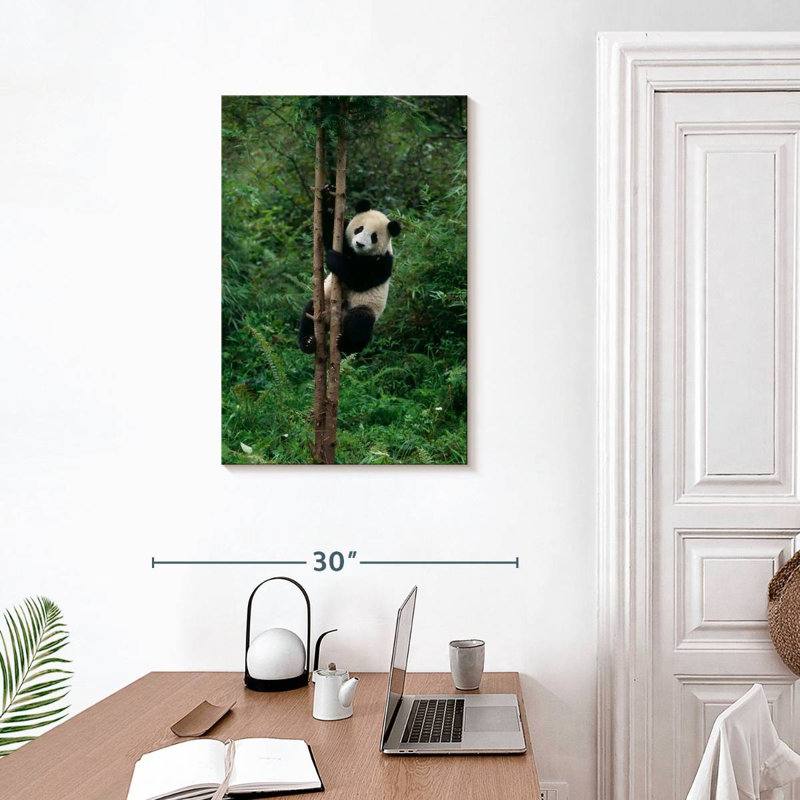 Brampt Climbing Panda, 30" H x 20" W