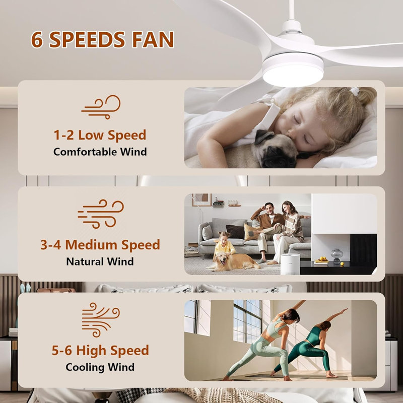 52 Inch Ceiling Fan With Light, RGB Backlight Quiet LED Ceiling Fan With Remote For Bedroom, Living Room, Kitchen, 3CCT, 6 Speeds, Reversible, Dimmable, Timer, Memory
