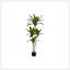 Plante en faux ciment 51,25 po Mcginnis