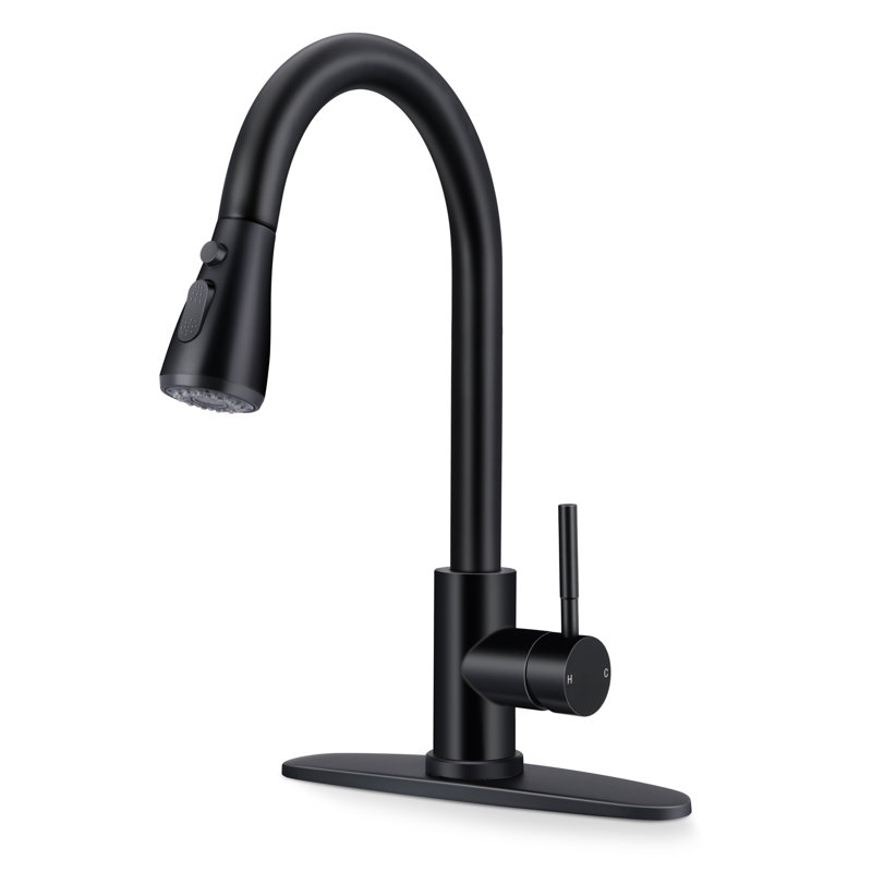 Robinet de cuisine avec douchette extractible Wilmall, Noir mat