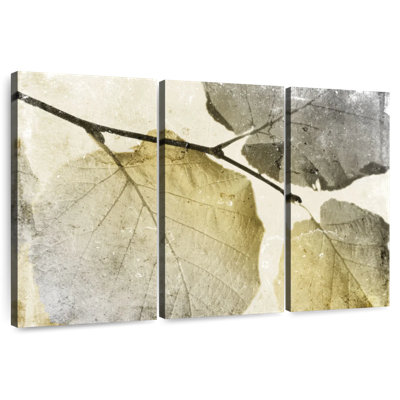 Harnek feuilles classiques