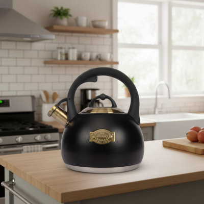 3.1 Qt Home Kitchen Teapot, Black Stainless Steel, Stovetop Compatible Kettle