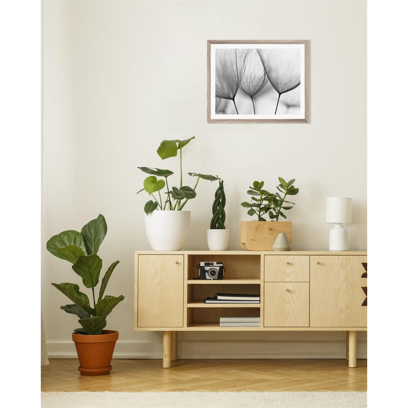 Dandelions Scandi - Single Picture Frame Print, Bevelled Wood Effect, 136.652 cm H x 111.252 cm W