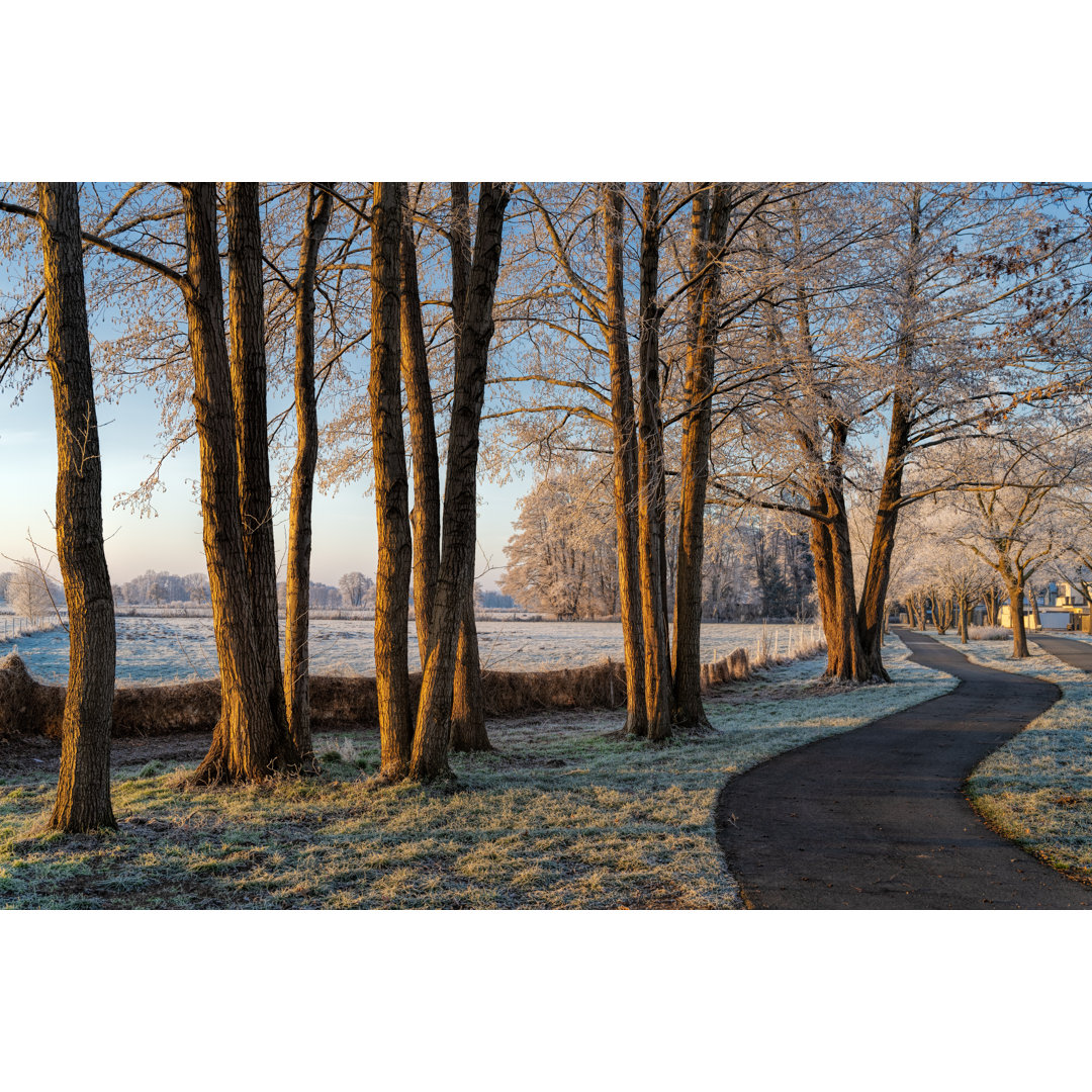 Kalter sonniger Wintermorgen by Relaxfoto.De - Drucken