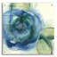 «Wannabe Poppies VI» par Chris Paschke-2079191973