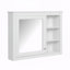 Armoire de rangement murale avec miroir