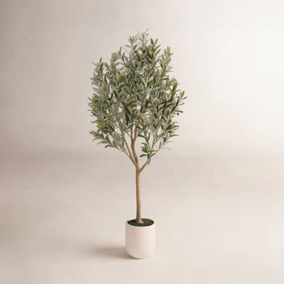 Ashwell Faux Olive Tree