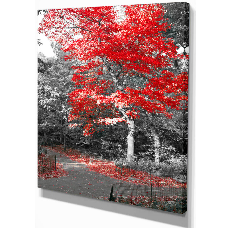 Floral «Red Fall Tree in Central Park», reproduction de photo sur toile tendue, H 20 po x l 12 po x P 1po
