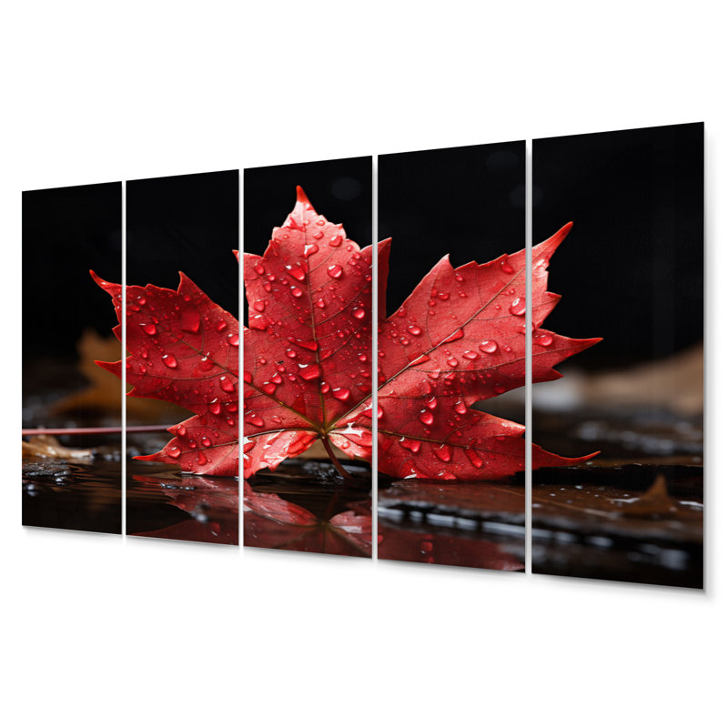 Sur aluminium 5 pièces