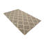 Tapis oriental gris moderne 5 x 8