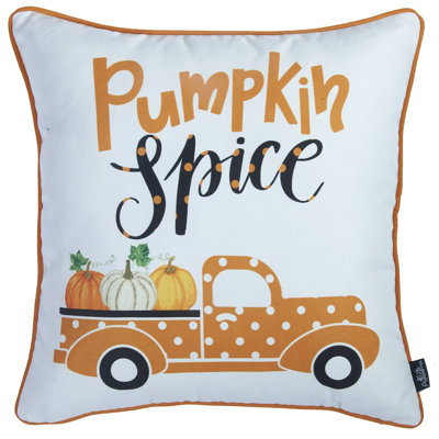 Pillow Cover
