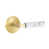 Satin Brass