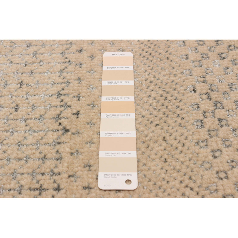 Silk Shadow Beige Rug 8'10" x 12'1"