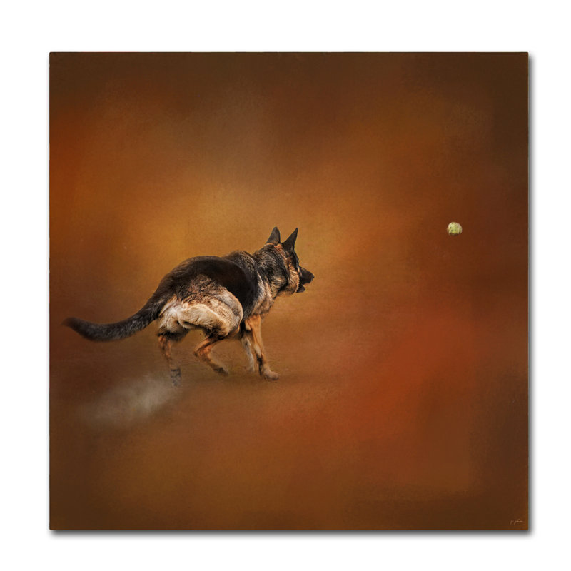 «Gimme That Ball German Shepherd» par Jai Johnson, reproduction d'art graphique sur toile, H 14 po x l 14 po