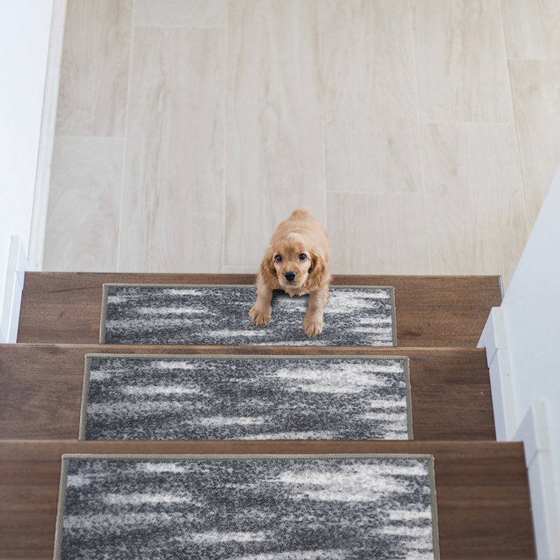 Tapis d'escalier gris antidérapant Clodomira