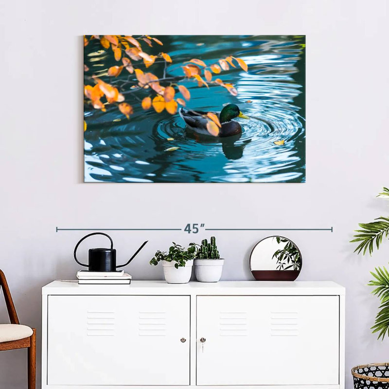 Brampt Mallard Duck On Pond, 24" H x 36" W