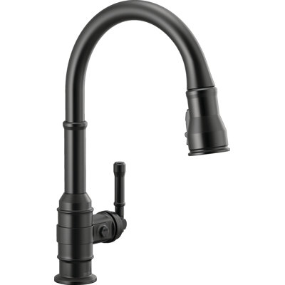 Broderick Pull Down Single Handle Kitchen Faucet -  Delta, 9190-BL-DST
