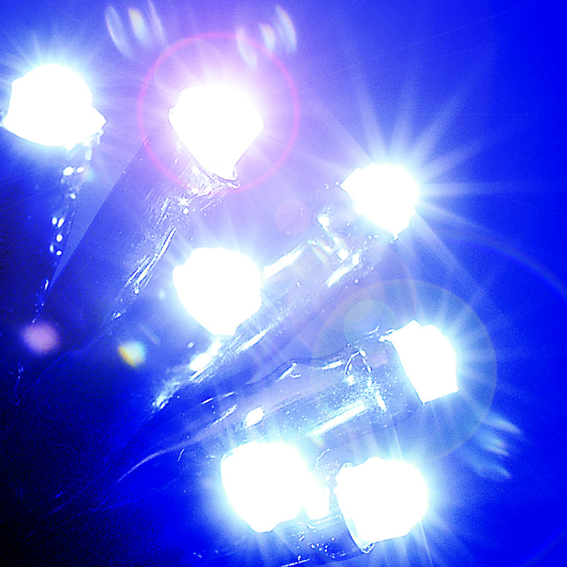 1000cm Indoor / Outdoor String Lights, Ice White
