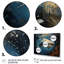 Requin gris, bleu, élégance II - imprimé-298629303-298629306
