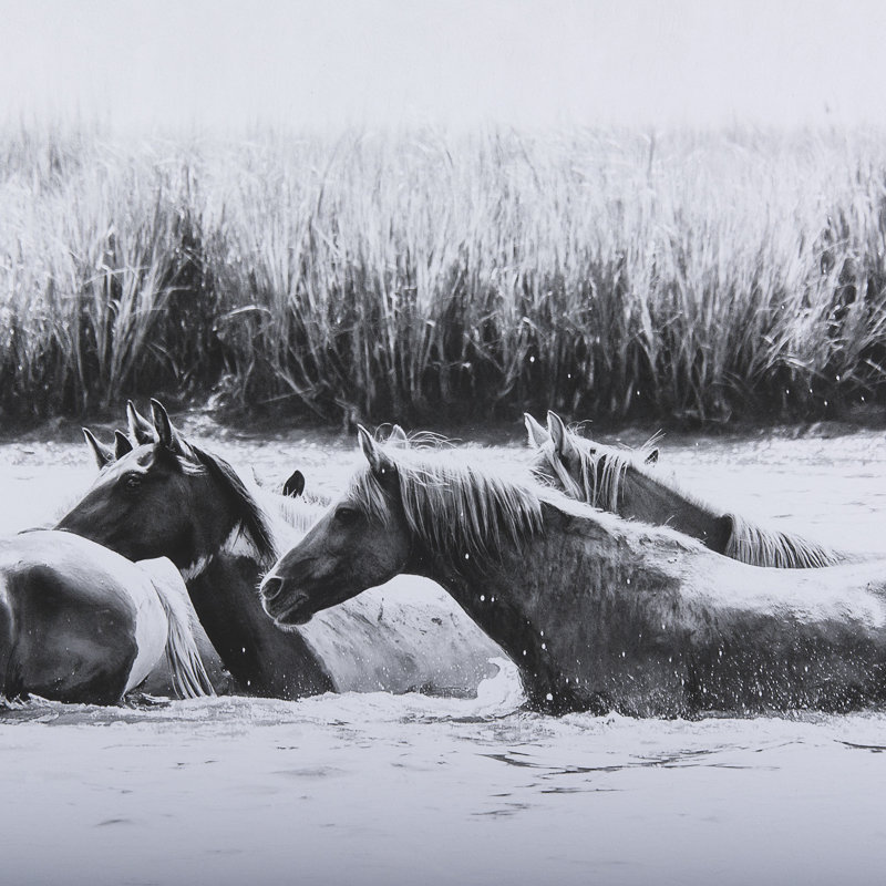 «Water Horses III 1» par PH Burchett, reproduction d'art encadrée et texturée encadrée à la main, H 63 po x l 43 po , 1