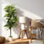 Figuier artificiel de 71 pouces avec pot à fleurs en PP blanc - Fausse plante avec mousse artificielle pour l'intérieur, le bureau et le salon