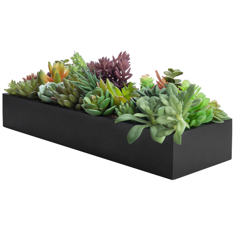 Plante grasse artificielle 3 po en pot
