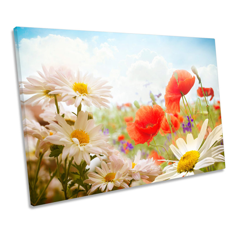 Field Of Daisies Floral Flower - Wrapped Canvas Art Prints, 30.5cm H x 45.7cm W