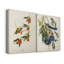 Toile tendue avec châssis PL 65 Rathbone Warbler-292913710