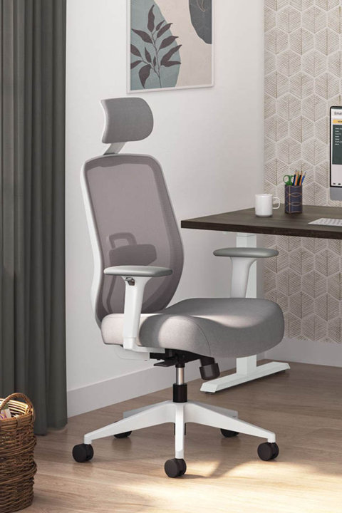 Shop Chairs