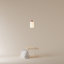 Goby Pendant Light-1043476-1043483-1043493