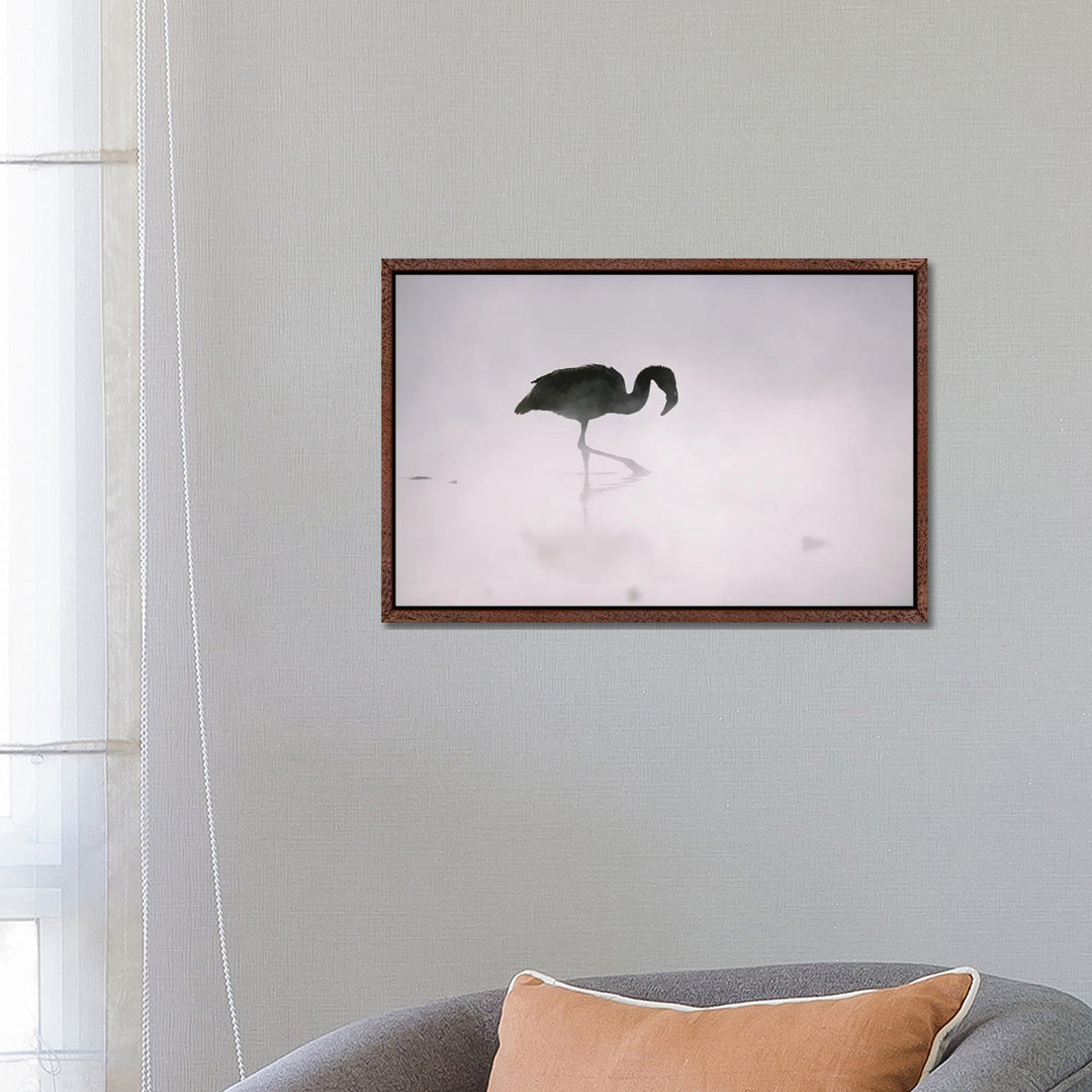 A Flamingo Wades In A Thermal Hot Spring In Chile's Atacama Desert by Joel Sartore - Gallery-Wrapped Canvas Giclée on Ca...