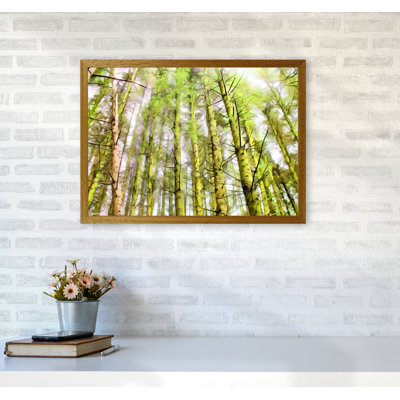 Woodland - Print on Canvas