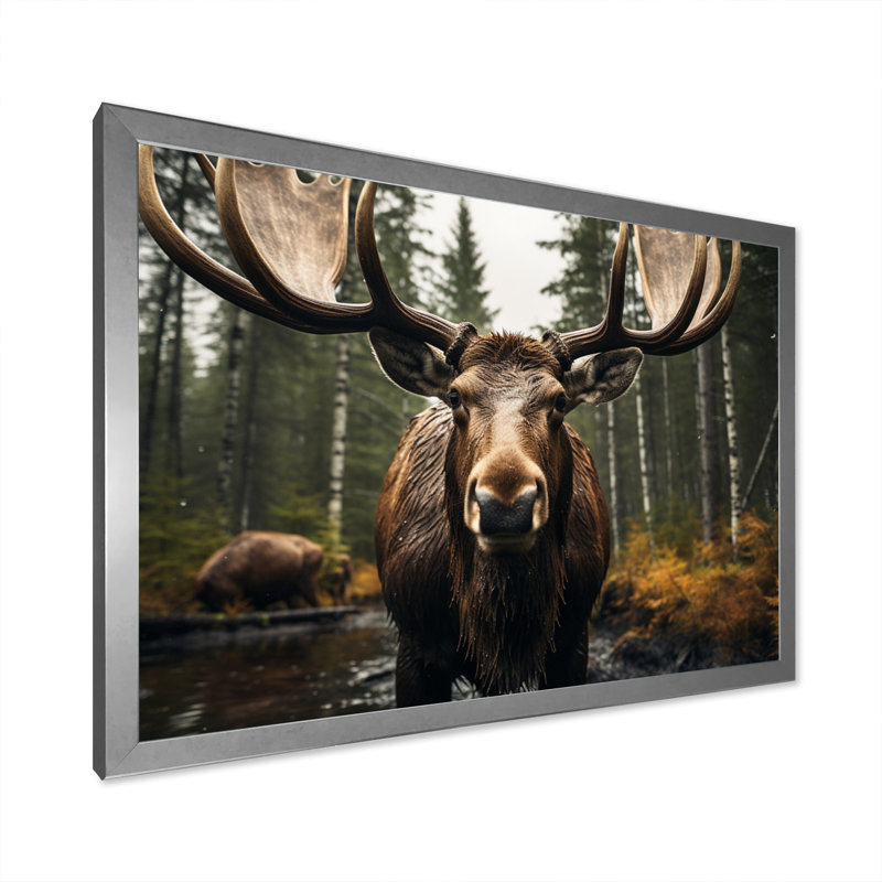 «Brown Yellow Moose Majestic», reproduction sur toile, H 24 po x l 32 po x P 1 po, Cadre simple argenté