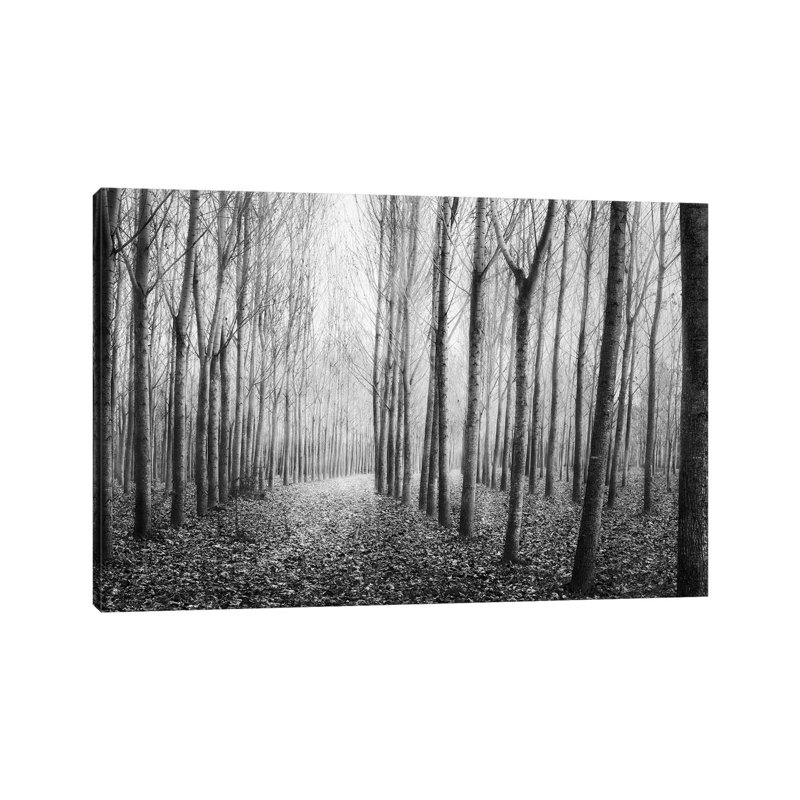 Autumn Mist by George Digalakis - Wrapped Canvas Print, 30.48cm H x 45.72cm W x 1.905cm D