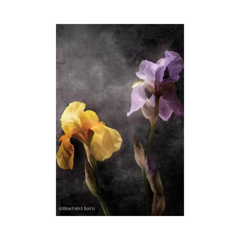 Contemporize Floral Iris by Bluebird Barn - Wrapped Canvas Painting, 30.48 cm H x 45.72 cm W
