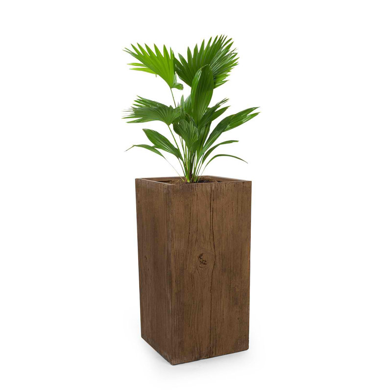 Cachepot, 80cm H x 40cm D x 40cm W