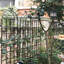 Treillis de jardin en métal antirouille 71 po x 19,7 po pour plantes grimpantes, support de fleurs-114504785