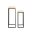 Adamarys Plant Stand - Set of 2