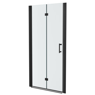 Porte de douche l 30 po x H 72 po sans cadre