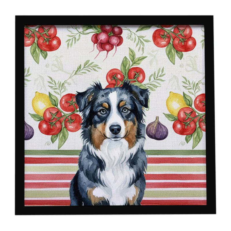 «Black Australian Shepherd Légumes», reproduction d'art encadrée, Noir