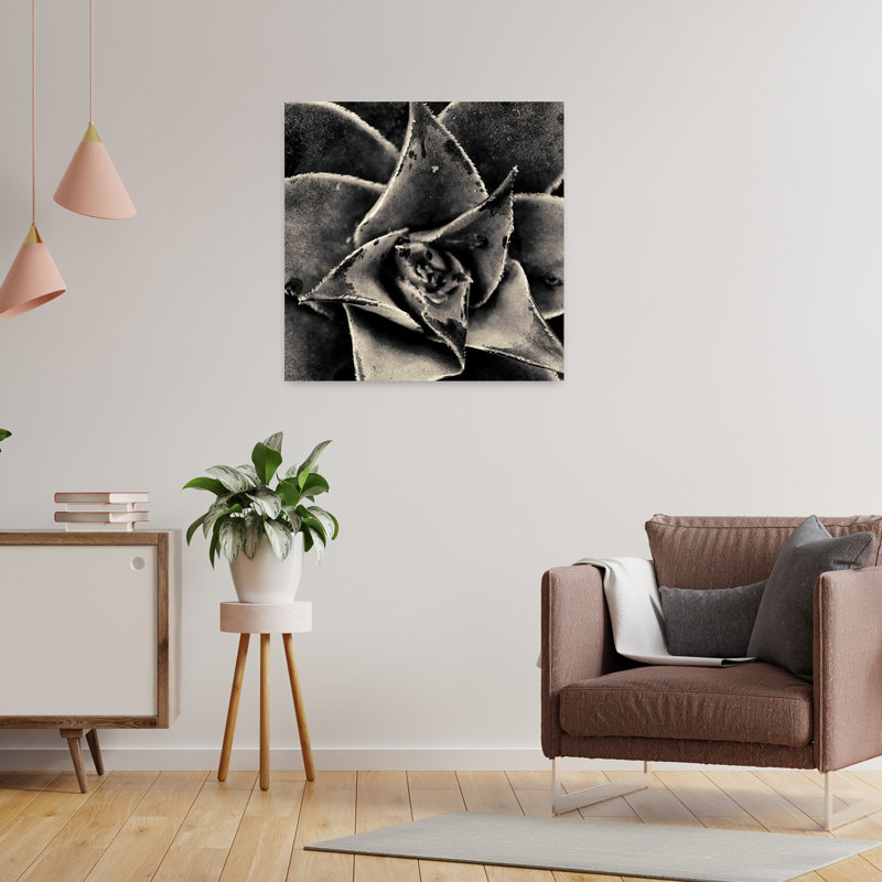 Seattle Succulents, art succulent contemporain, H 24 po x l 24 po