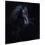 "Black Equinetraction", impression sur panneau en verre trempé flottant sans cadre