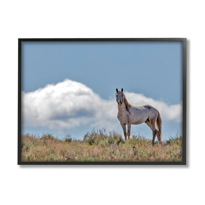 Cheval sauvage debout fort le long du ciel nuageux de jour - photographie, H 16 po x l 20 po, Giclée encadrée noir minuit