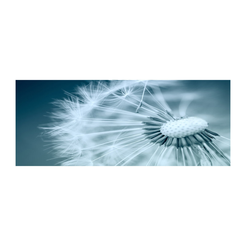 Dandelion - No Frame Print on Glass, Glass, 70cm H x 100cm W x 4cm D