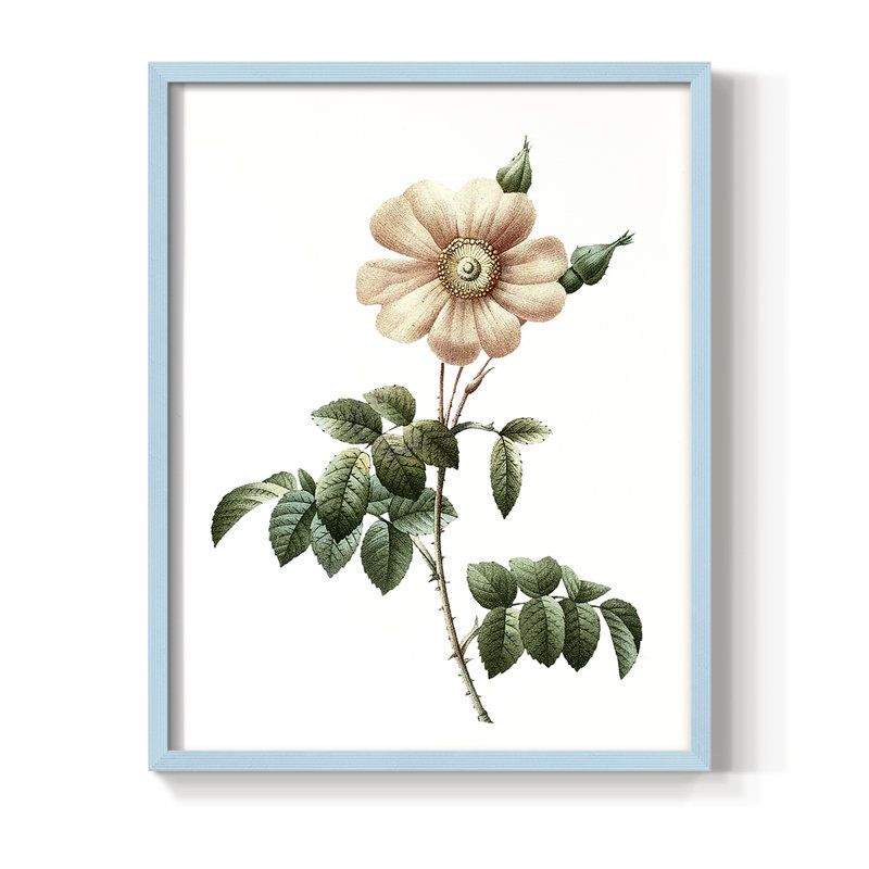 «Botanical Beauty II», reproduction encadrée - bois massif, Bleu, H 11 po x l 9 po
