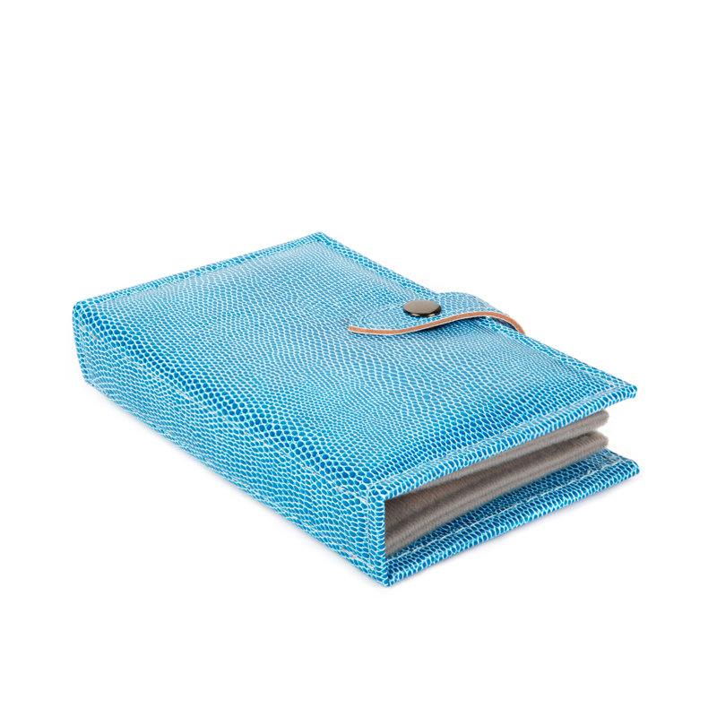 Jewellery Box, Blue Lizard