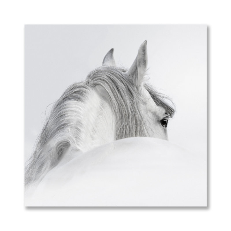 Legand par Decorumby - photographie, Acrylique, H 24 po x l 24 po x P 1,5 po