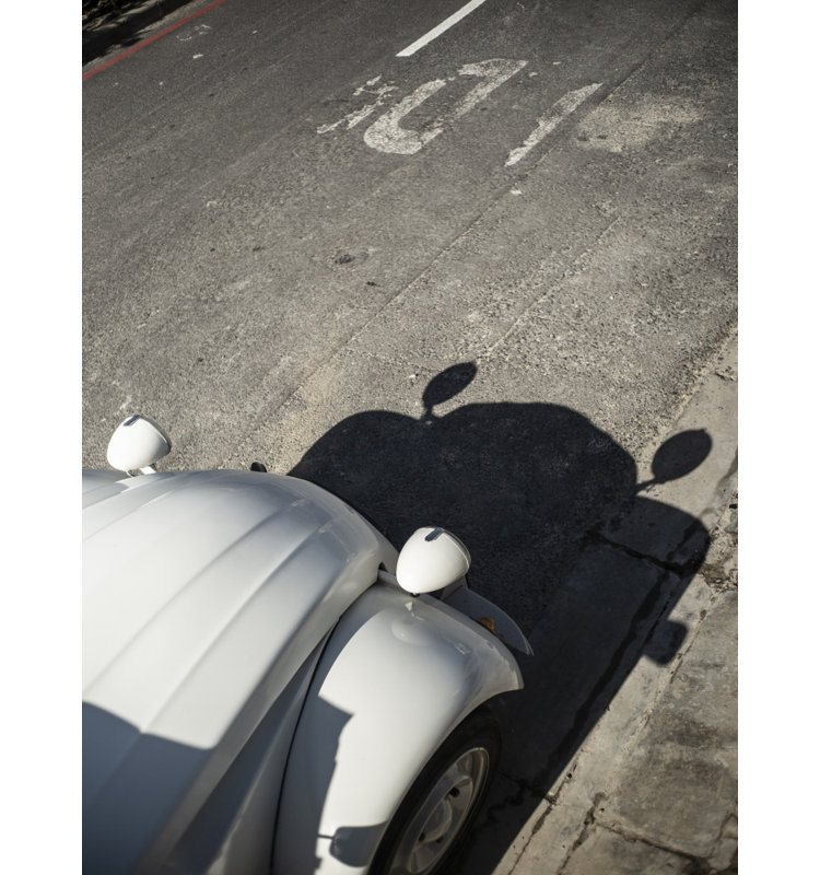 Wrapped Canvas Print, 81.28 cm H x 121.92 cm W