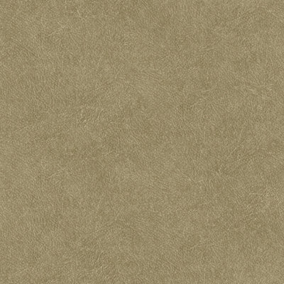Praveen 10.05m x 53cm Matte Double Roll