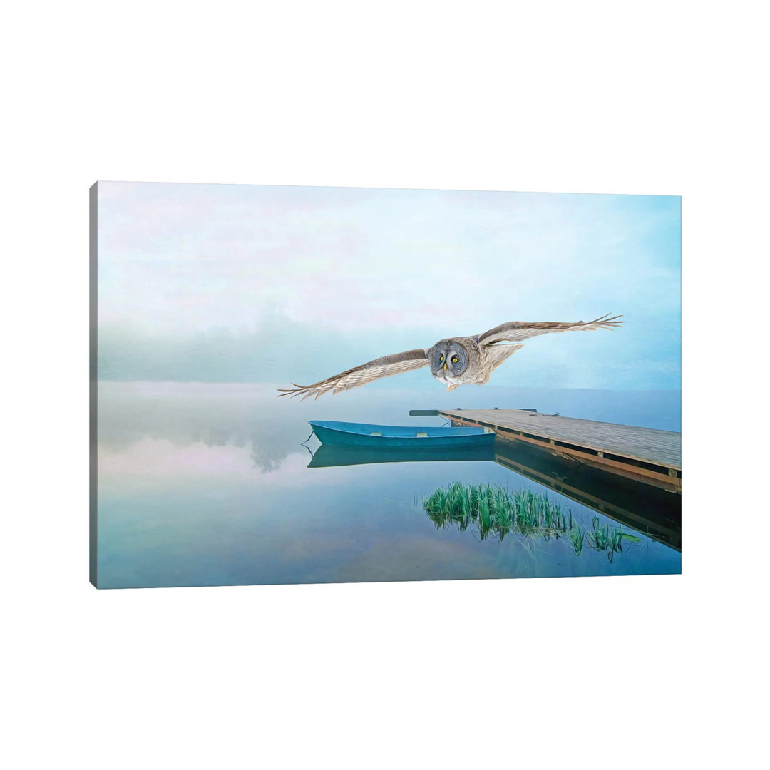 Steinkauz im Flug über den Teich von Laura D Young - Galerie-umwickelte Leinwand Giclée auf Leinwand